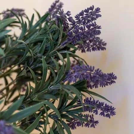 Monte Avos By Ecovillas Vakantiehuis *