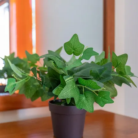 Monte Avos By Ecovillas 펜션 *