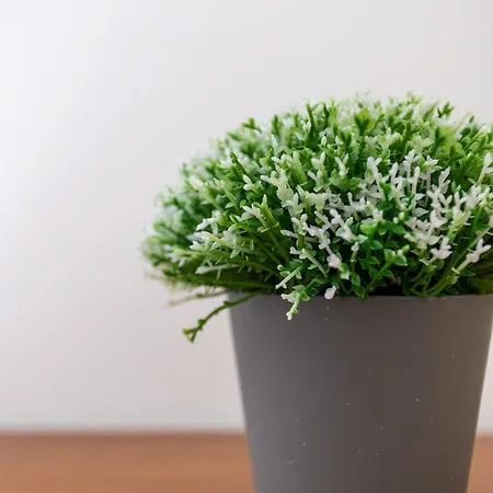 Monte Avos By Ecovillas * 알부페이라